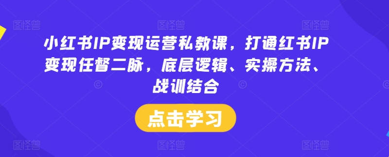 小红书IP变现运营私教课，打通红书IP变现任督二脉，底层逻辑、实操方法、战训结合-89网创