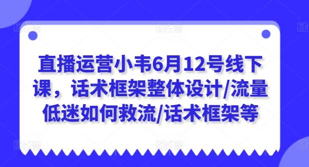 直播运营小韦6月12号线下课，话术框架整体设计/流量低迷如何救流/话术框架等-89网创