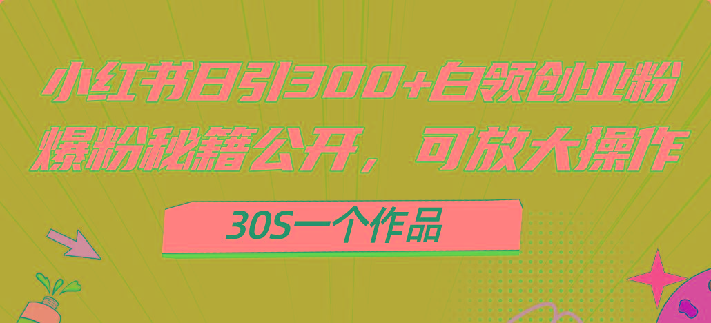 小红书日引300+高质白领创业粉，可放大操作，爆粉秘籍！30s一个作品-89网创