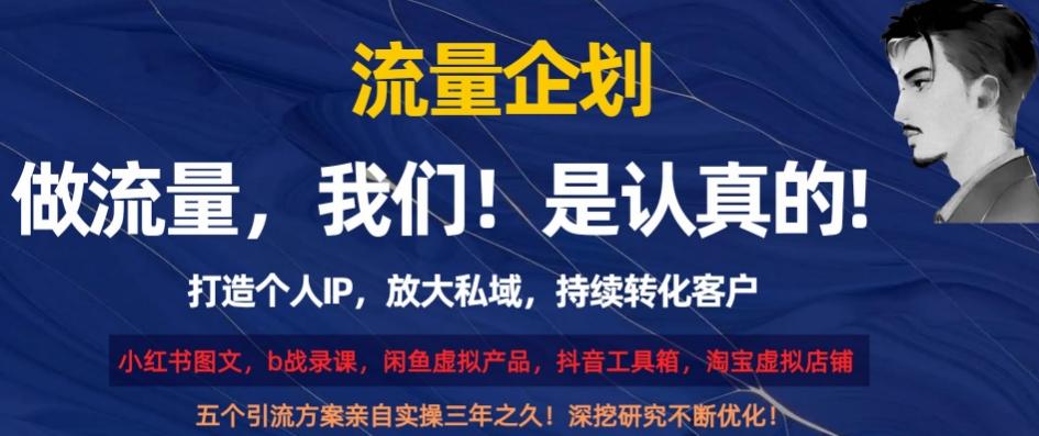 流量企划，打造个人IP，放大私域，持续转化客户【揭秘】-89网创