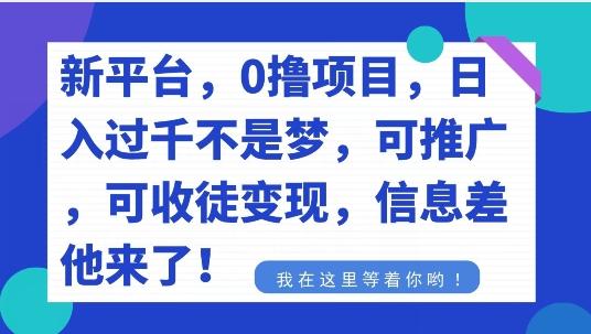 不要再花冤枉钱了，0撸项目，每天坚持，稳定1000+-89网创