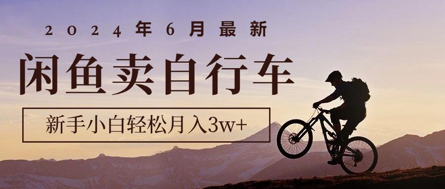 2024年6月最新闲鱼卖自行车，新手小白轻松月入3w+项目-89网创