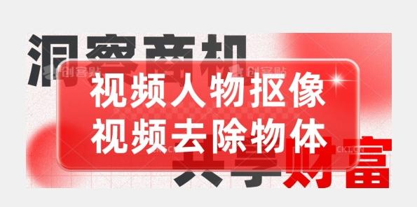 【超强视频处理工具】视频人物抠像+视频去除物体-89网创
