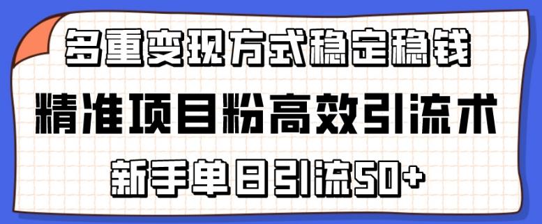 精准项目粉高效引流术，新手单日引流50+，多重变现方式稳定赚钱【揭秘】-89网创