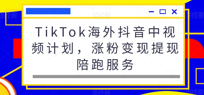 TikTok海外抖音中视频计划，涨粉变现提现陪跑服务-89网创