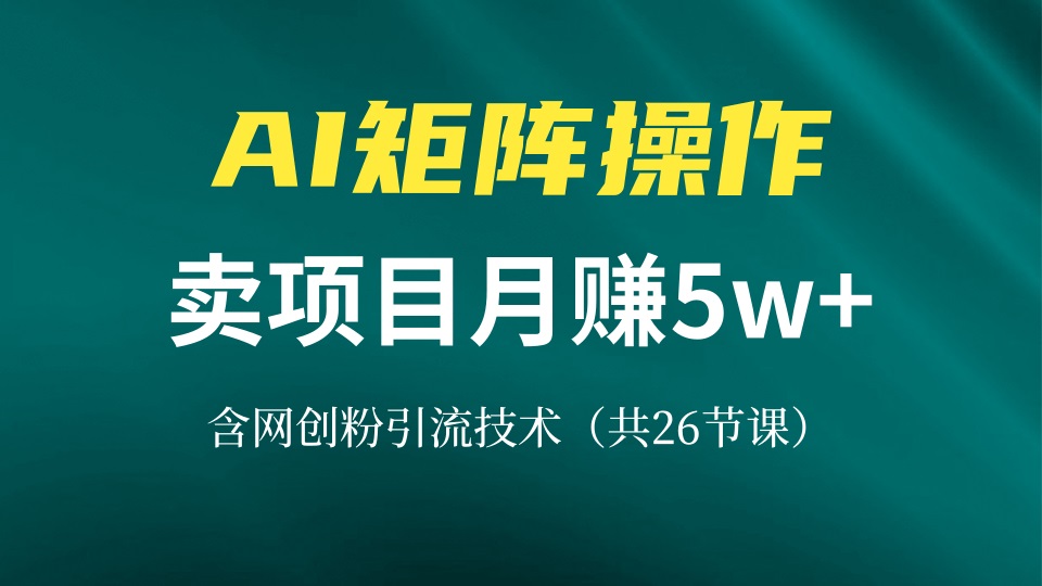 网创IP打造课，借助AI卖项目月赚5万+，含引流技术(共26节课-89网创