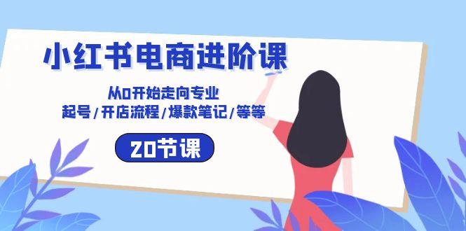 小红书电商进阶课：从0开始走向专业 起号/开店流程/爆款笔记/等等(20节-89网创