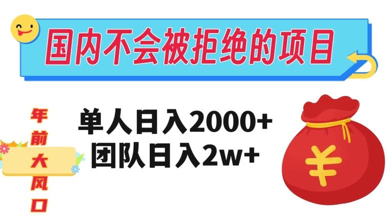 在国内不怕被拒绝的项目，单人日入2000，团队日入20000+【揭秘】-89网创