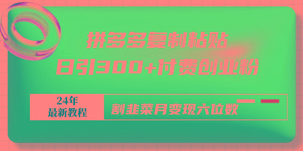 拼多多复制粘贴日引300+付费创业粉，割韭菜月变现六位数最新教程！-89网创