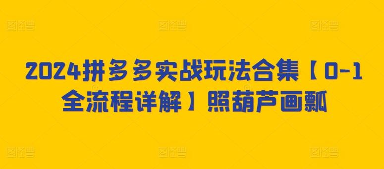 2024拼多多实战玩法合集【0-1全流程详解】照葫芦画瓢-89网创