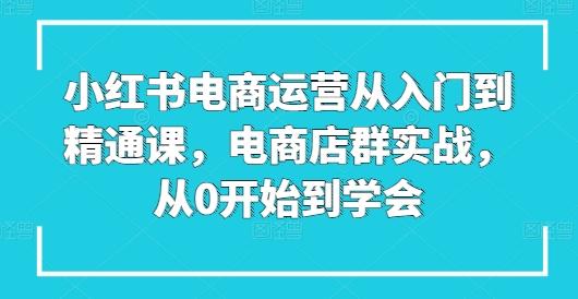 小红书电商运营从入门到精通课，电商店群实战，从0开始到学会-89网创