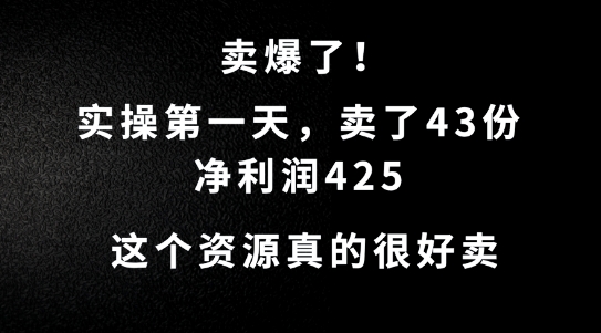 这个资源，需求很大，实操第一天卖了43份，净利润425【揭秘】-89网创