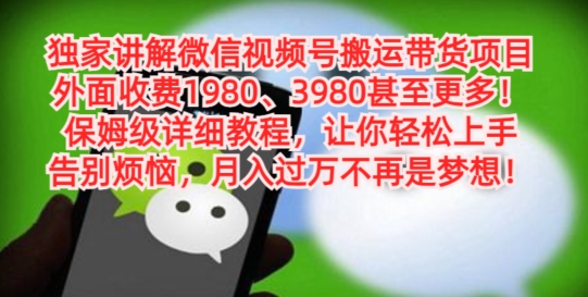 独家讲解微信视频号搬运带货项目，保姆级详细教程-89网创