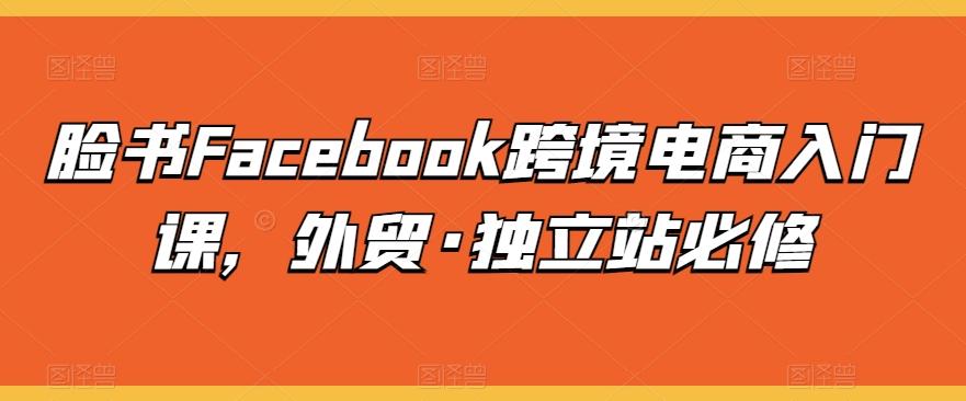 脸书Facebook跨境电商入门课，外贸·独立站必修-89网创