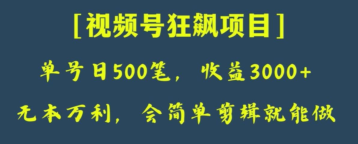 日收款500笔，纯利润3000+，视频号狂飙项目，会简单剪辑就能做【揭秘】-89网创