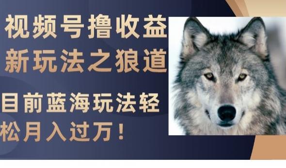 视频号撸收益新玩法之狼道，目前蓝海玩法，轻松月入过万【揭秘】-89网创