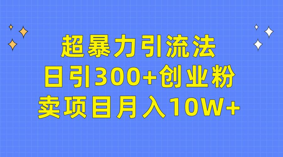 (9954期)超暴力引流法，日引300+创业粉，卖项目月入10W+-89网创