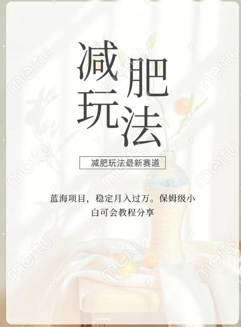 减肥流量主新玩法，轻松月入1W，可矩阵操作收入翻倍-89网创