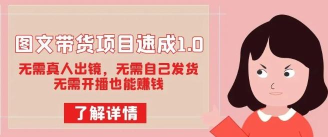 图文带货项目速成1.0：无需真人出镜，无需自己发货，无需开播也能赚钱！-89网创
