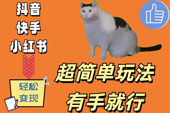 超简单玩法，有手就行，靠猫咪视频日入500+【揭秘】-89网创