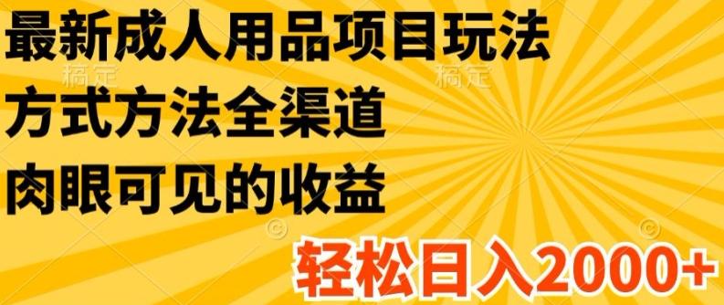 最新成人用品项目玩法，方式方法全渠道，轻松日入2K+【揭秘】-89网创