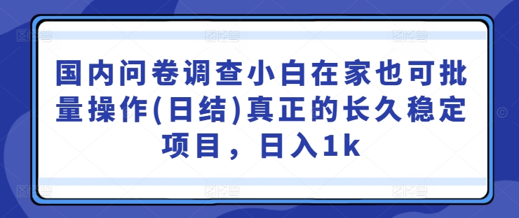 国内问卷调查小白在家也可批量操作(日结)真正的长久稳定项目，日入1k【揭秘】-89网创