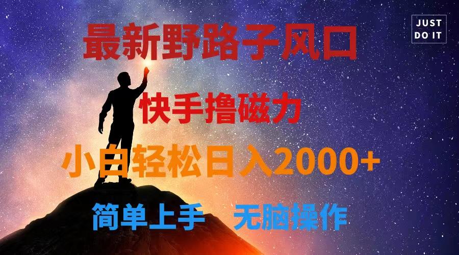 最新风口！快手撸磁力，野路子，小白无脑操作日入2000+-89网创