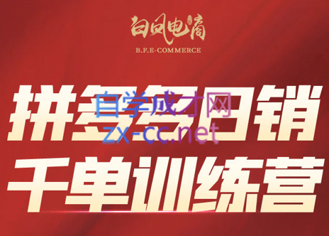 白凤电商学院·拼多多日销千单训练营(更新7月)-89网创