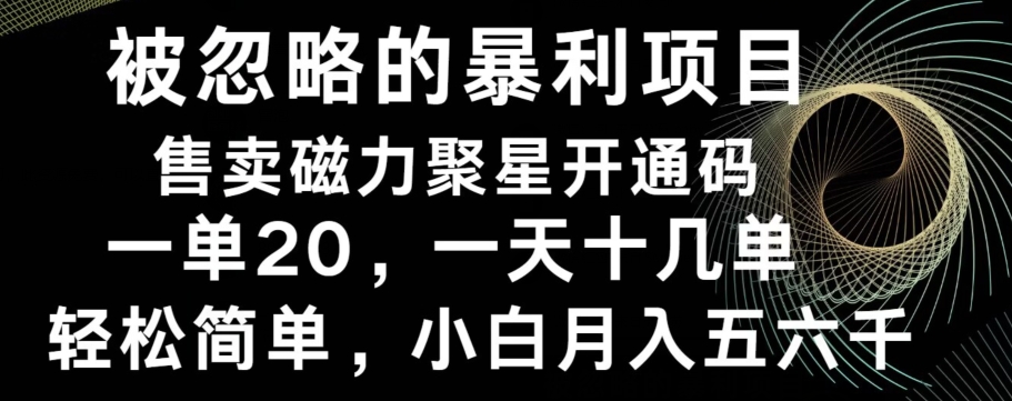 被忽略的暴利项目！售卖磁力聚星开通码，一单20，一天十几单，轻松月入五六千-89网创