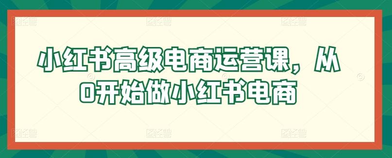 小红书高级电商运营课，从0开始做小红书电商-89网创