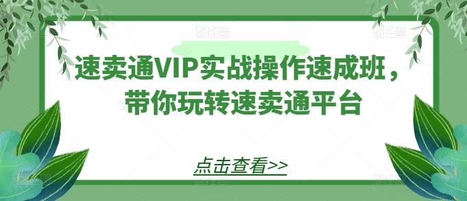 速卖通VIP实战操作速成班，带你玩转速卖通平台-89网创