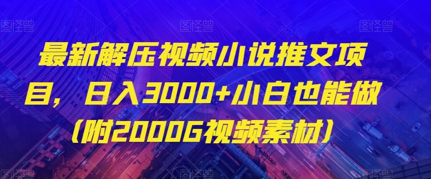 最新解压视频小说推文项目，日入3000+小白也能做（附2000G视频素材）【揭秘】-89网创