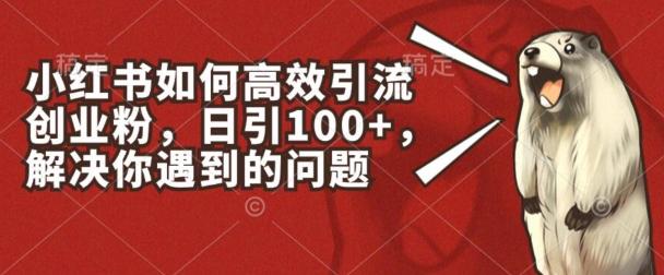 小红书如何高效引流创业粉，日引100+，解决你遇到的问题【揭秘】-89网创
