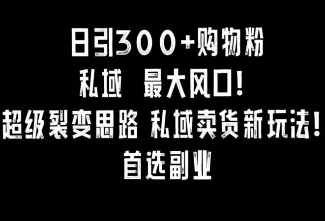 日引300+购物粉，超级裂变思路，私域卖货新玩法，小红书首选副业【揭秘】-89网创