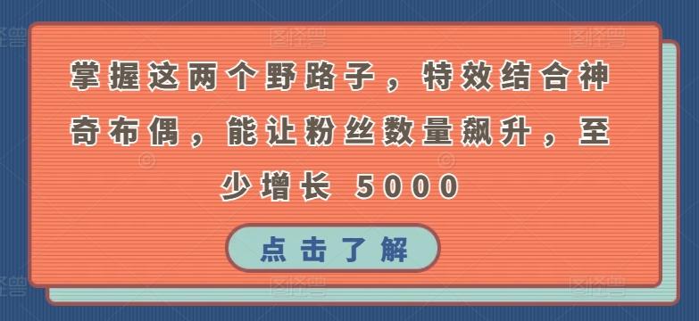掌握这两个野路子，特效结合神奇布偶，能让粉丝数量飙升，至少增长 5000【揭秘】-89网创