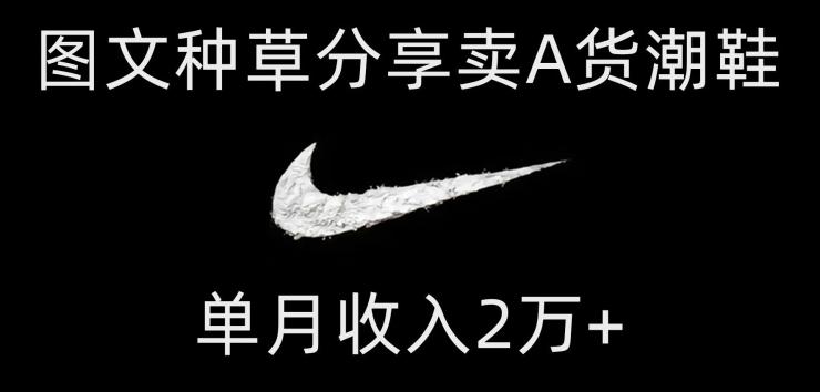 靠图文种草分享卖A货潮鞋，每天一小时，单月收入2万+【揭秘】-89网创