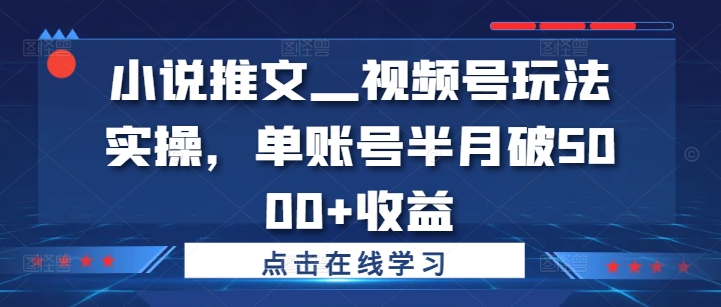 小说推文—视频号玩法实操，单账号半月破5000+收益-89网创