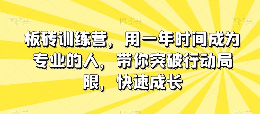 板砖训练营，用一年时间成为专业的人，带你突破行动局限，快速成长-89网创