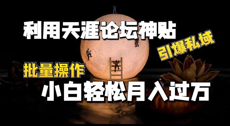 利用天涯论坛神贴，引爆私域，批量操作，小白轻松月入过w【揭秘】-89网创