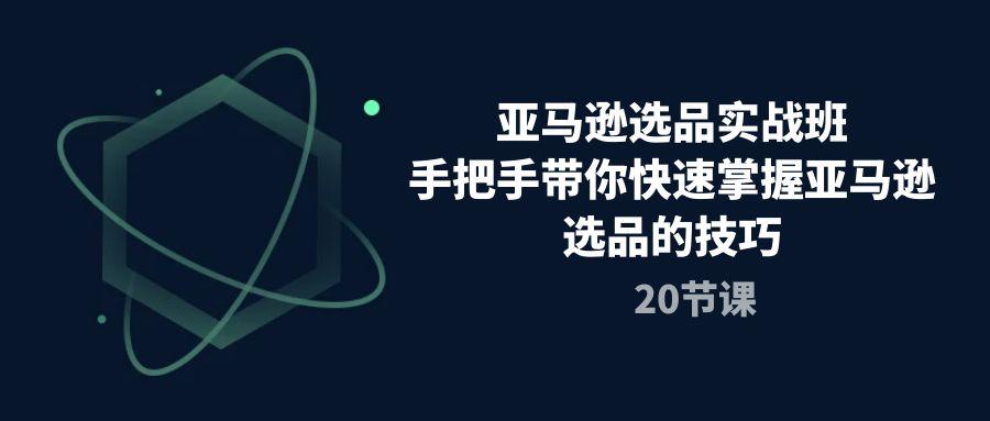 亚马逊选品实战班，手把手带你快速掌握亚马逊选品的技巧(20节课-89网创