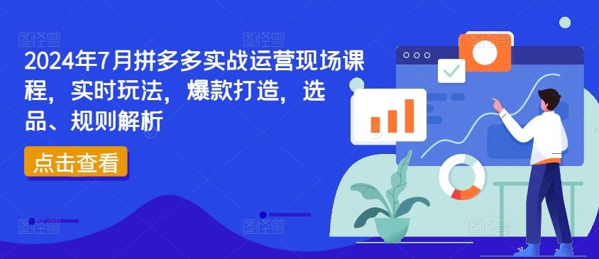 2024年7月拼多多实战运营现场课程，实时玩法，爆款打造，选品、规则解析-89网创