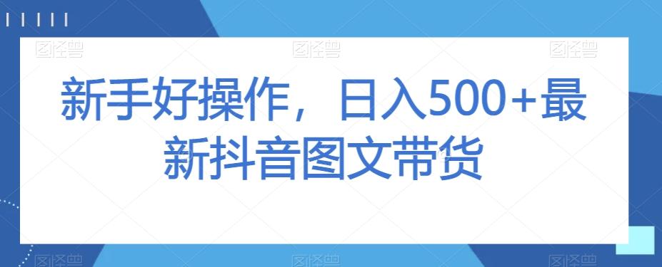 新手好操作，日入500+最新抖音图文带货【揭秘】-89网创