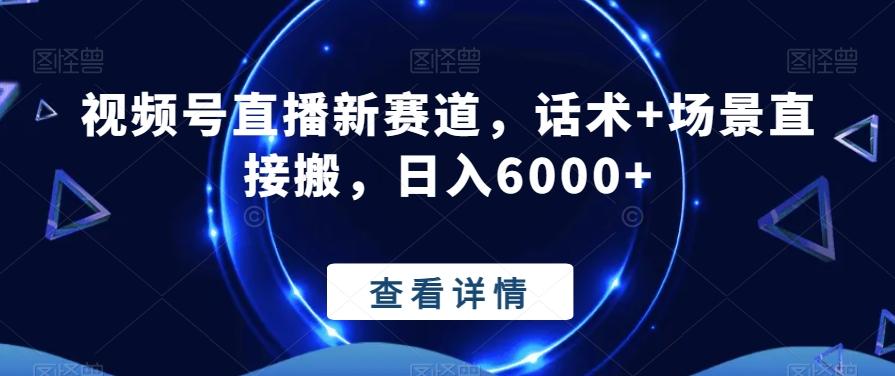 视频号直播新赛道，话术+场景直接搬，日入6000+-89网创