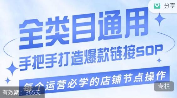 单品爆款打造实操运营，单品爆款从“0”-“1”手把手演练运营步骤-89网创
