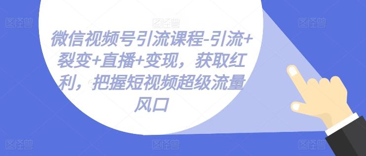 微信视频号引流课程-引流+裂变+直播+变现，获取红利，把握短视频超级流量风口-89网创