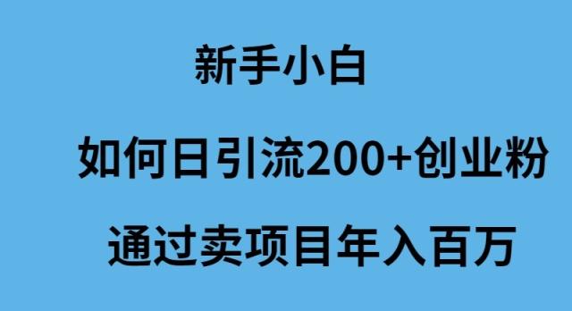 (9668期)新手小白如何日引流200+创业粉通过卖项目年入百万-89网创