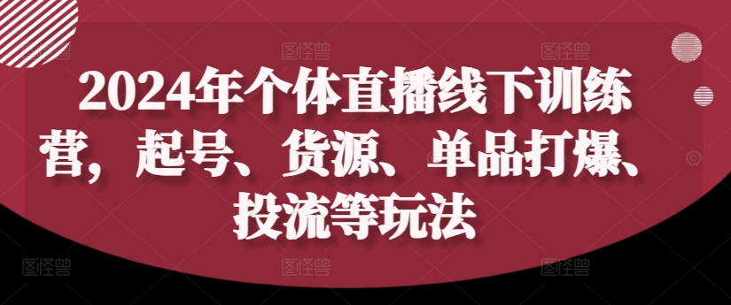 2024年个体直播训练营，起号、货源、单品打爆、投流等玩法-89网创