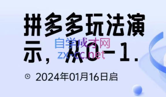 吴老师·拼多多从选品到截流到付费的玩法技巧-89网创