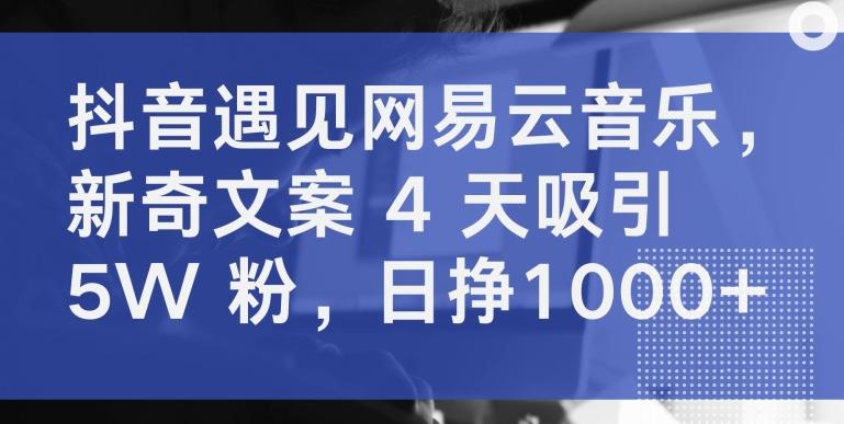 抖音遇见网易云音乐，新奇文案 4 天吸引 5W 粉，日挣1000+【揭秘】-89网创