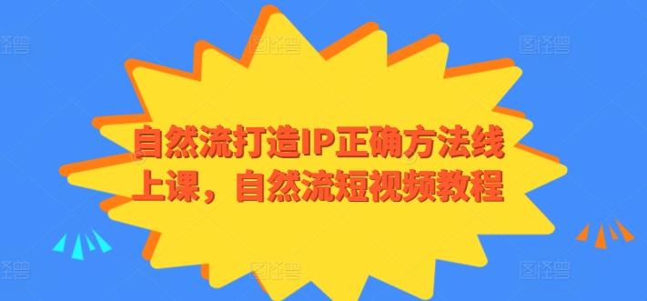 自然流打造IP正确方法线上课，自然流短视频教程-89网创